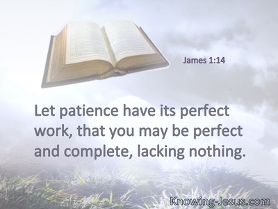 Let patience have its perfect work, that you may be perfect and complete, lacking nothing.